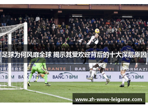 足球为何风靡全球 揭示其受欢迎背后的十大深层原因
