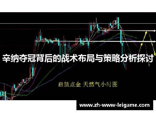 辛纳夺冠背后的战术布局与策略分析探讨